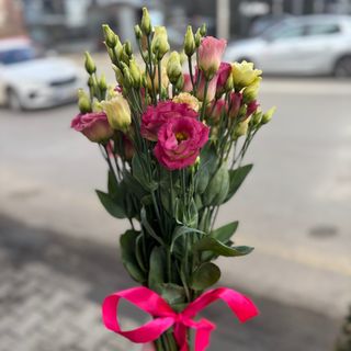 9 еустоми с панделка (цветове според наличността)