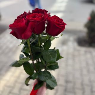 5 червени рози с панделка