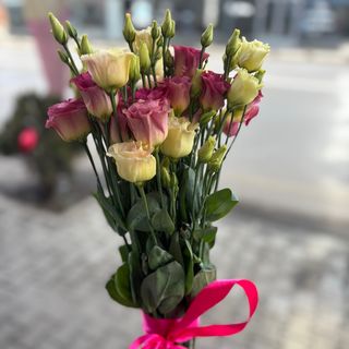 5 еустоми с панделка (цветове според наличността)