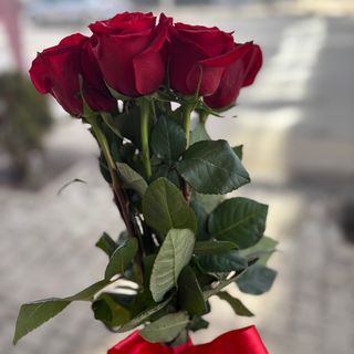 7 червени рози с панделка