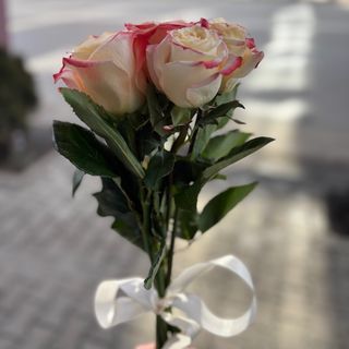 5 цветни рози с панделка (избор на цвят)