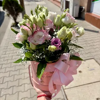 Средна кутия с еустоми