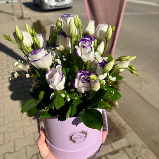 Малка кутия с еустоми