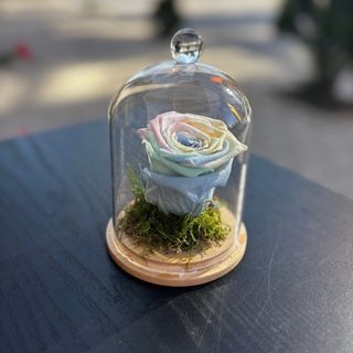 Вечна роза в стъкленица - пастелни цветове