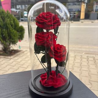 3 бр. Вечни рози в стъкленица