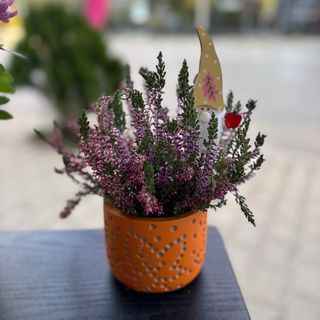 Есенна аранжировка в керамична кашпа с Калуна