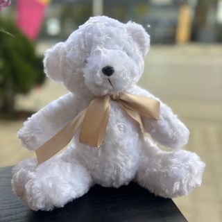 Бяло плюшено мече