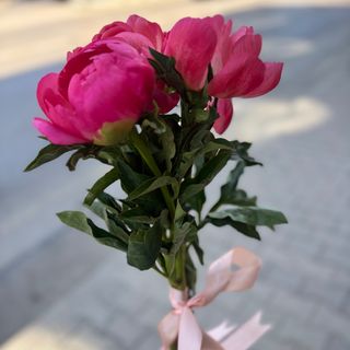 3 божура с панделка (цветове според наличността)