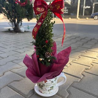 Декорирана Коледна елха с лед лампички и декорация