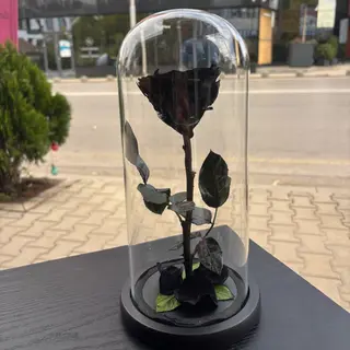 Черна вечна роза