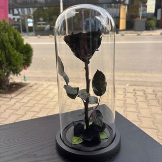 Черна вечна роза