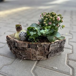 Коледна аранжировка в дървесна кашпа