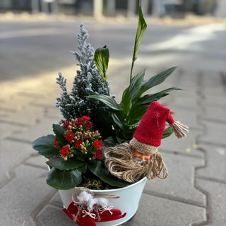 Коледна аранжировка в метална кашпа