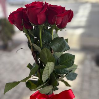 9 червени рози с панделка