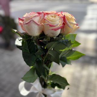 9 цветни рози с панделка (избор на цвят)