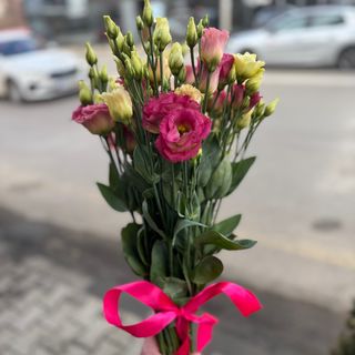 7 еустоми с панделка (цветове според наличността)