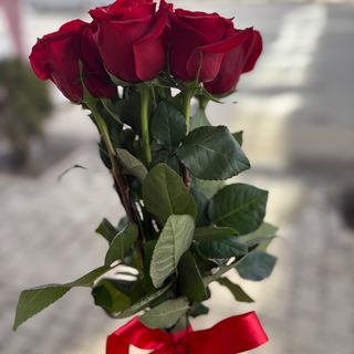 11 червени рози с панделка