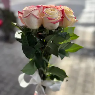 7 цветни рози с панделка (избор на цвят)