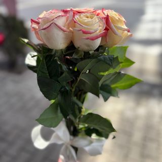 7 цветни рози с панделка (избор на цвят)