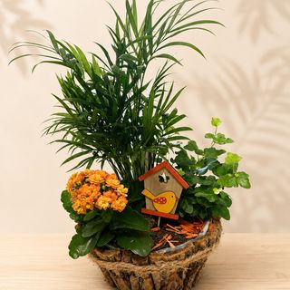 Есенна аранжировка със засадени цветя