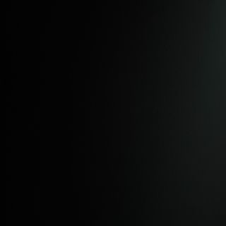 Телешка плескавица (300гр)