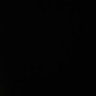 Свинско дърпано със сос (350гр)