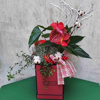 Коледна декорация с живи цветя