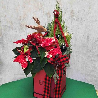 Коледна композиция с елен