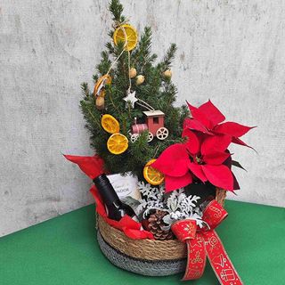 Коледна декорация с живи цветя