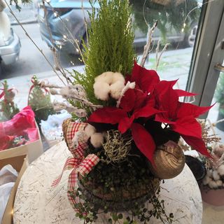 Композиция Коледа