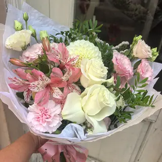 Lolita