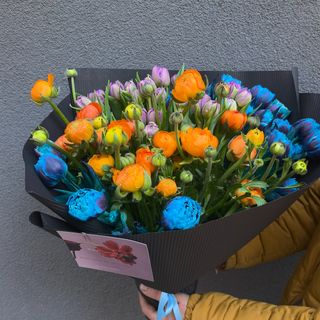 FANTASY, special varieties TULIPS