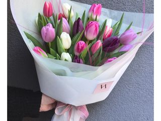 Sugar Tulips, 15pcs.