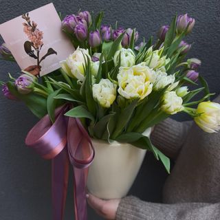 GORGEOUS, special varieties TULIPS