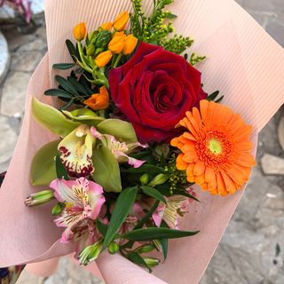 Зелена орхидея