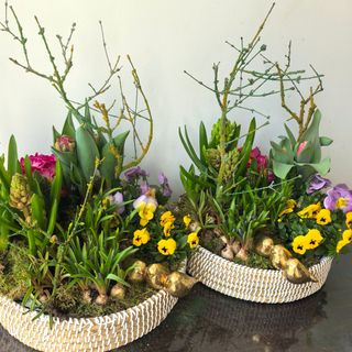 4. Spring Garden XXL