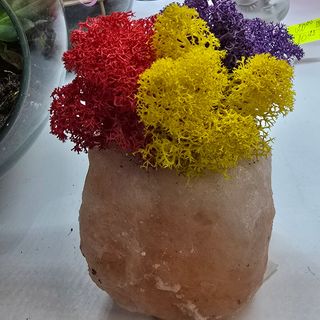 Кашпа със скандинавски мъх