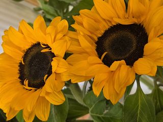 Букет "Слънчогледи"