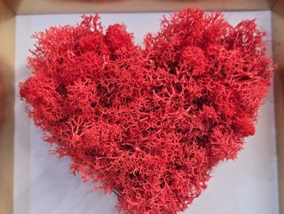 Картина със скандинавски мъх