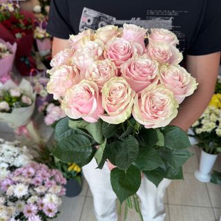 15 бр Розови рози с панделка