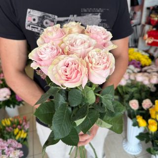 7 бр Розови рози с панделка