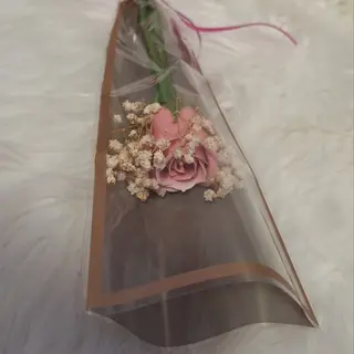 Розичка