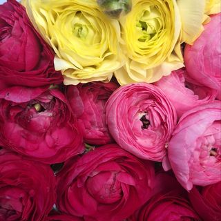 Букет с ранункулус