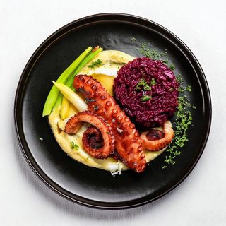 Октопод на скара