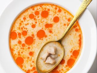 ТЕЛЕШКО ШКЕМБЕ