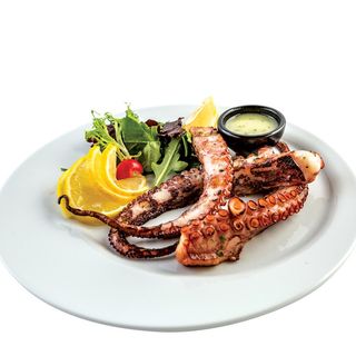 Пипала калмар на плоча