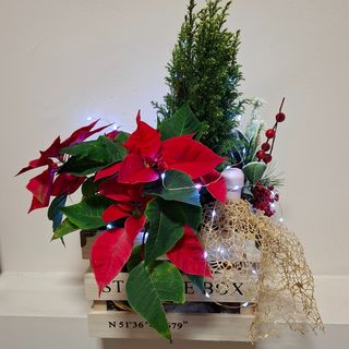 Подаръчен комплект