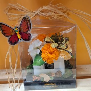 Аранжировка -Фея