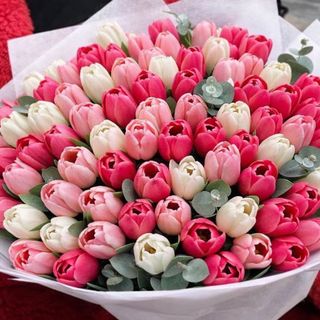 Букет от 75 шарени лалета със зеленина