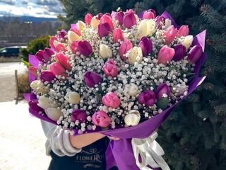 Букет от 75 шарени лалета в комбинация с гипсофил